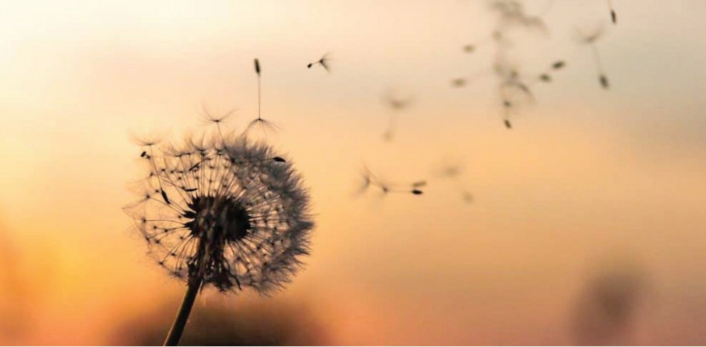 Lessons in Life: Out of Syllabus